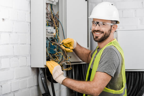 Best Electric Panel Repair  in Mesa Del Caballo, AZ